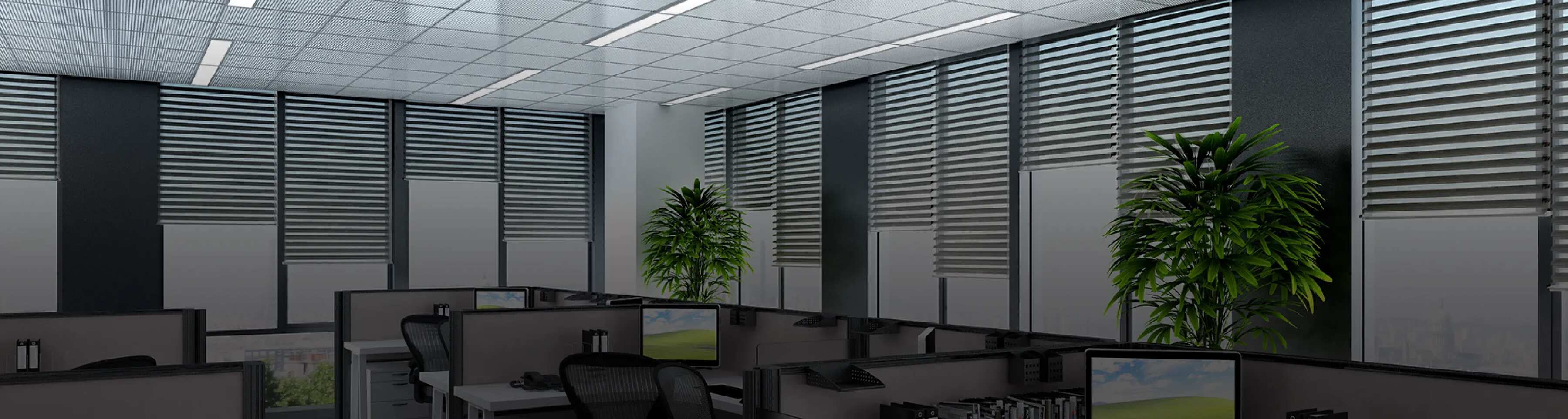 Office Blinds
